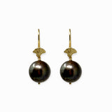 Gold Sea Shell Earrings with Brown Freshwater Pearls