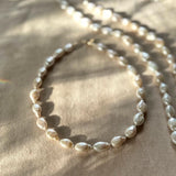Large Keishi Pearl Choker  - White Freshwater Pearl Necklace