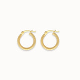 Gold hoop earrings on a white background