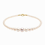Pearl bracelet with gold clasp on a white background
